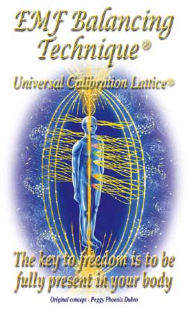 Universal Calibration Lattice®